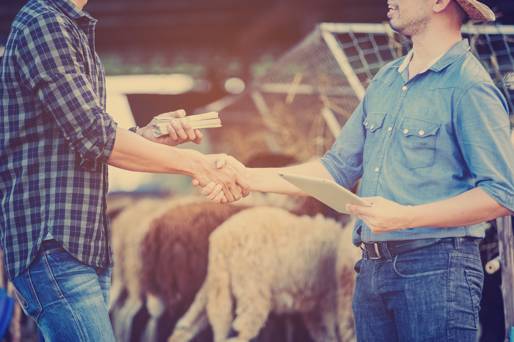 A banking representative shaking hands with farmer