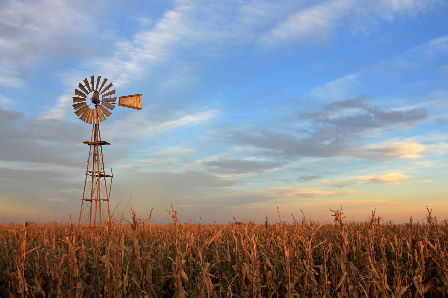 windmill above crops during sunset